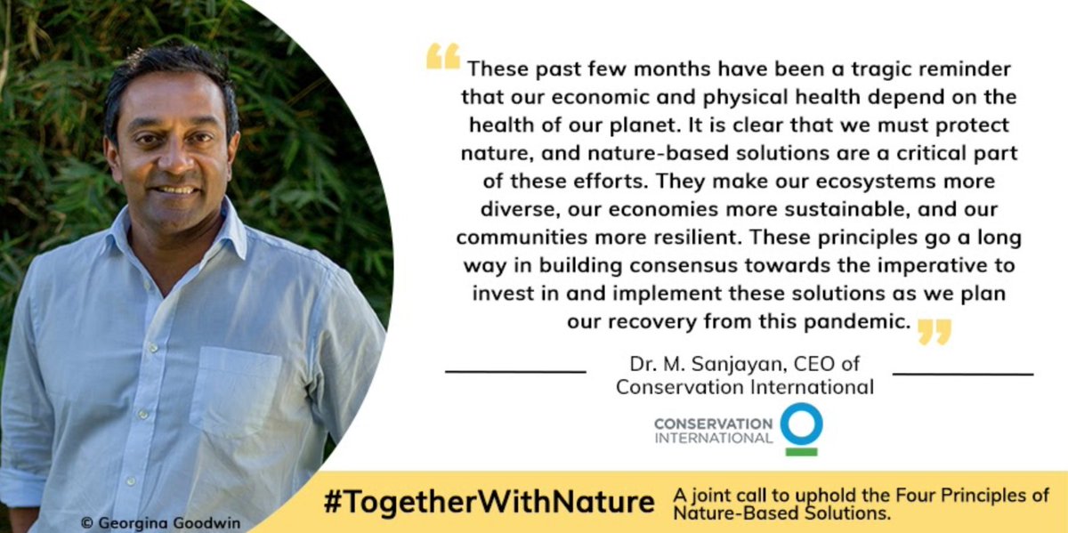 CrowtherLab's tweet photo. "Our economic and physical health depend on the health of our planet" says @msanjayan from @ConservationOrg as 60+ experts call on organizations to uphold Four Principles for #NatureBasedSolutions.
#TogetherWithNature #4Principles4NBS
https://t.co/D4DuXUBMOV https://t.co/j2Tdtwnuvy