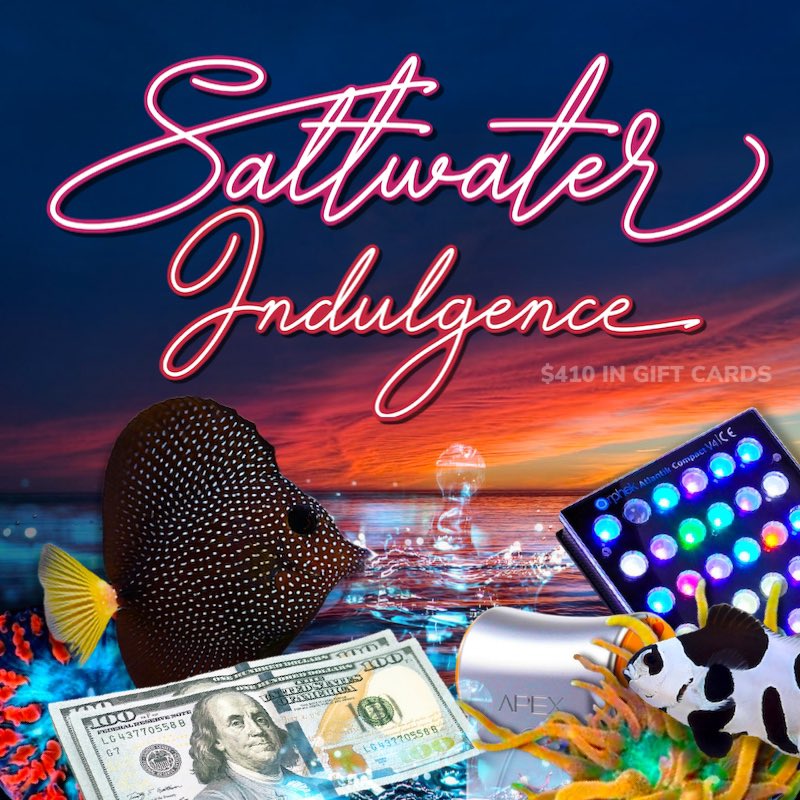 ReefStash's tweet photo. GIVEAWAY Spotlight: Saltwater Indulgence has graciously donated a $250 GIFT CARD to the grand prize winner along with $40 GIFT CARDS to each of the 4 runner ups!

Saltwater Indulgence Facebook Group: https://t.co/fEtAUgshqP

Join $8k+ in prizes here: https://t.co/e5QCW6oA9E https://t.co/ZI8ik8dhv8