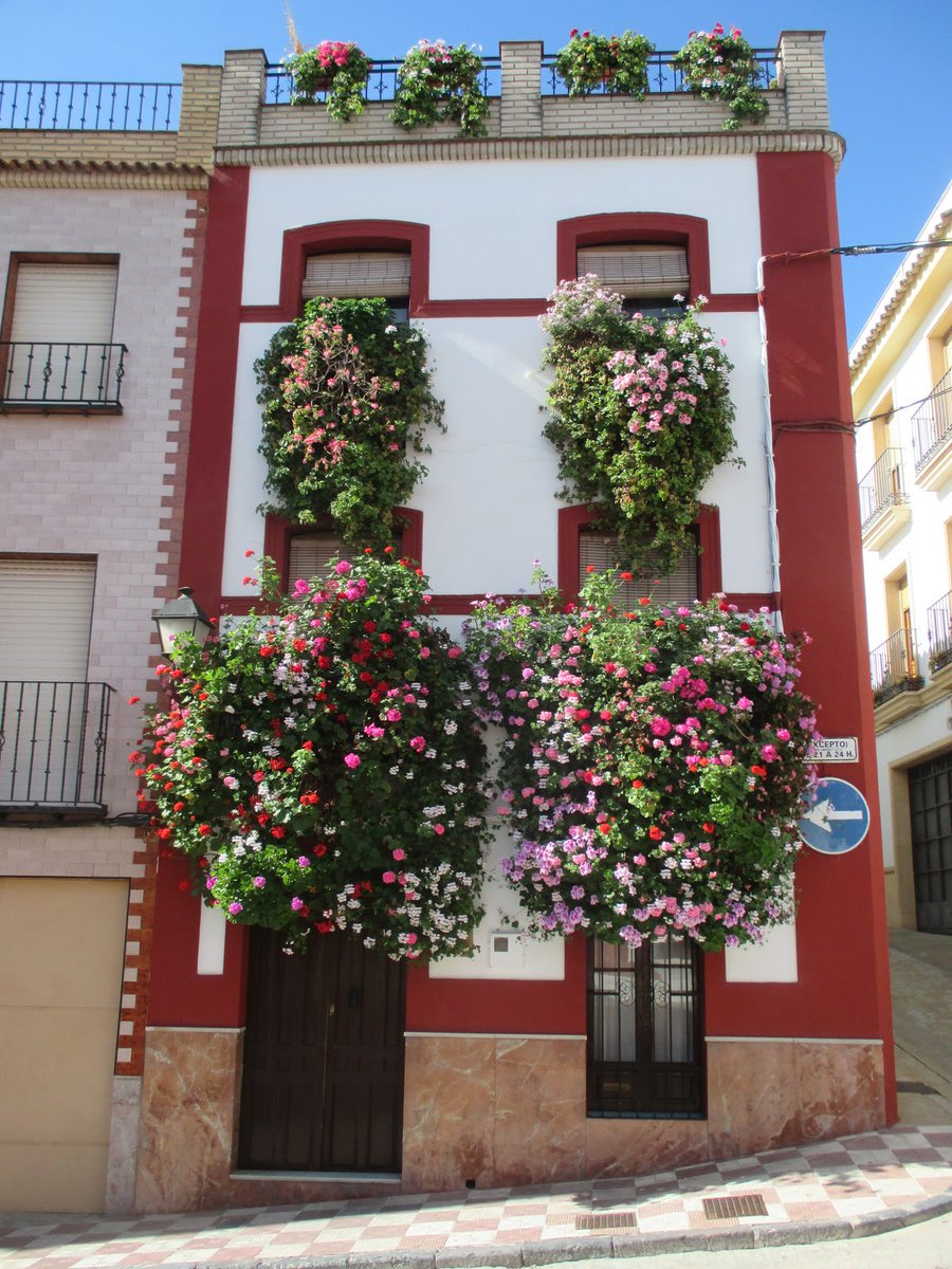 La dedicación, el esfuerzo y la pasión por las flores se vive en mayo, en la #provinciadecórdoba, que brota de luz y color!!! Pronto sentiremos el aroma.
<a href="/aythornachuelos/">Ayuntamiento de Hornachuelos</a> <a href="/fernannunez/">Ayuntamiento de Fernán Núñez</a> 

#córdoba_mágica #patiosrinconesyrejas #quédateencasa