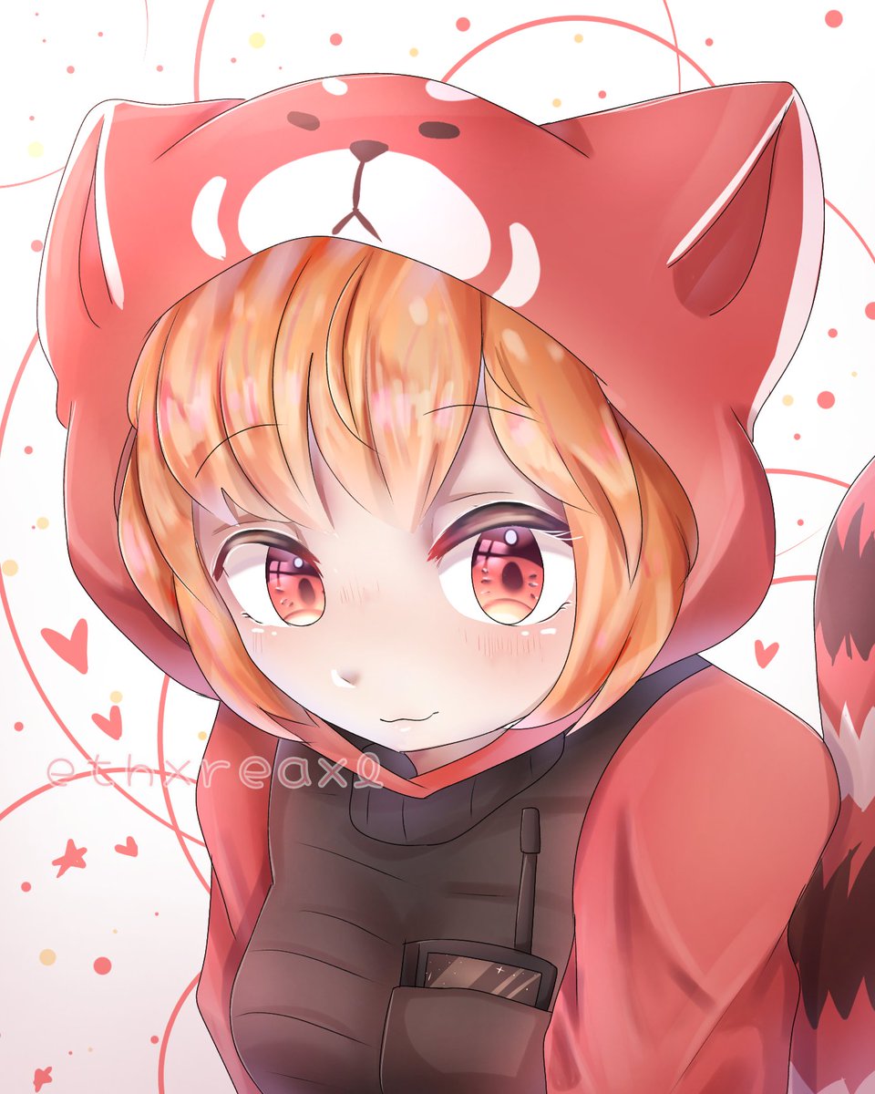 Drawing Red Panda Fan Art Arsenal