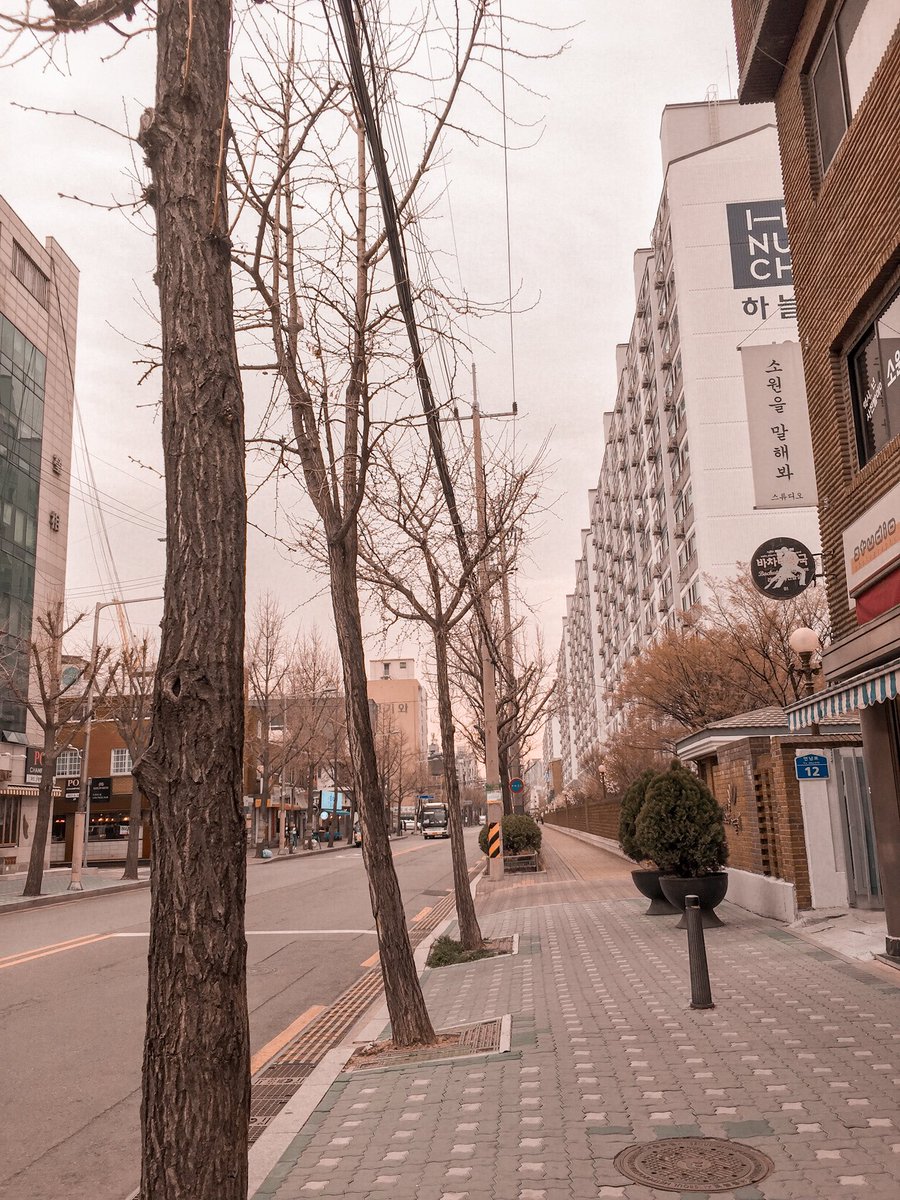 willaftr's tweet photo. Kangen Seoul 🤧 https://t.co/OlJJlgu2Nl