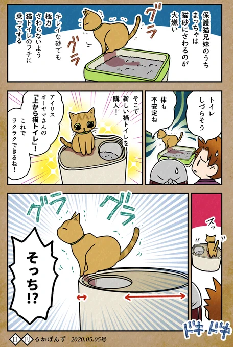 【毎日更新/猫マンガ】猫トイレの使い方がおかしい話。#保護猫3兄妹 #猫 #ねこ漫画 #コミックエッセイ #猫まんが 