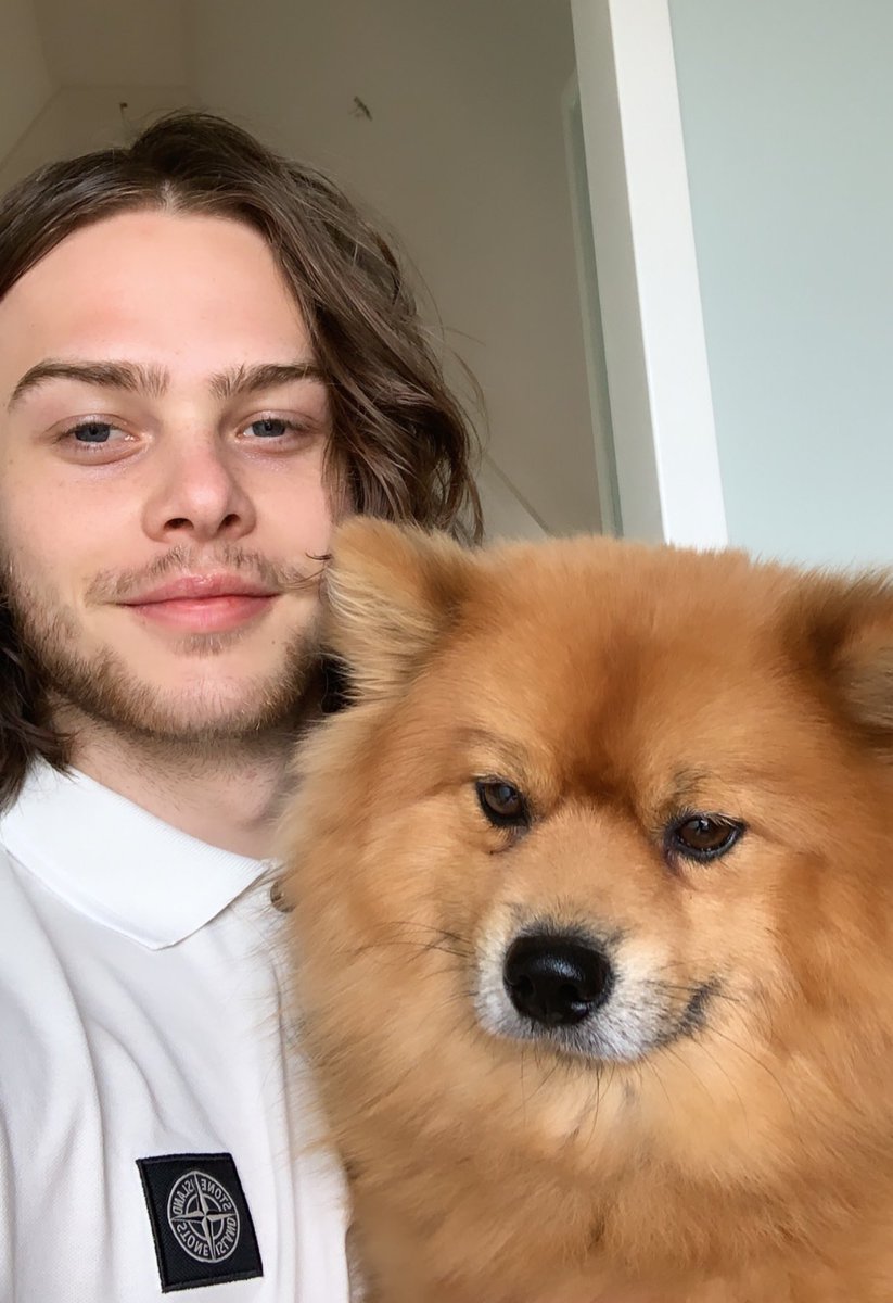 abitofcalvin tweet media