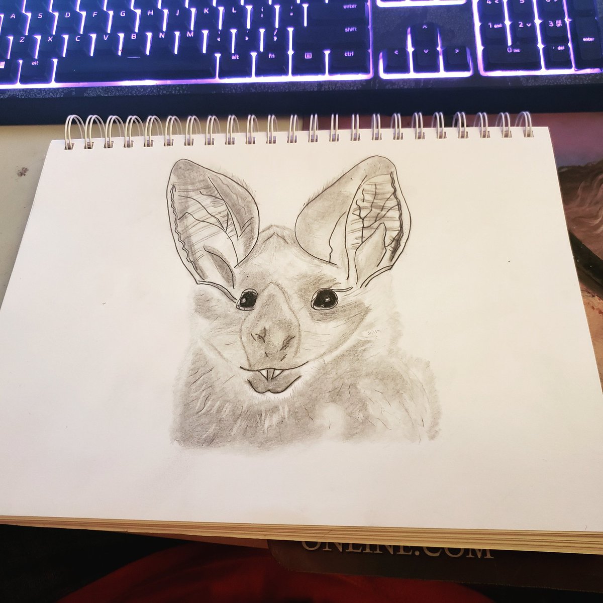 phlipb1's tweet photo. I was requested to do a drawing of a leaf nosed bat.
#draw #drawing #sketch #illistration #handrawing #sketchbook #ink #drawing #sketches #inked #illustrator #portrait #portraitart #portraitdrawing #portraitvision #artist #artists #bat #leafnosedbat
https://t.co/WIllLu6sNg https://t.co/WMByi7f7ZR