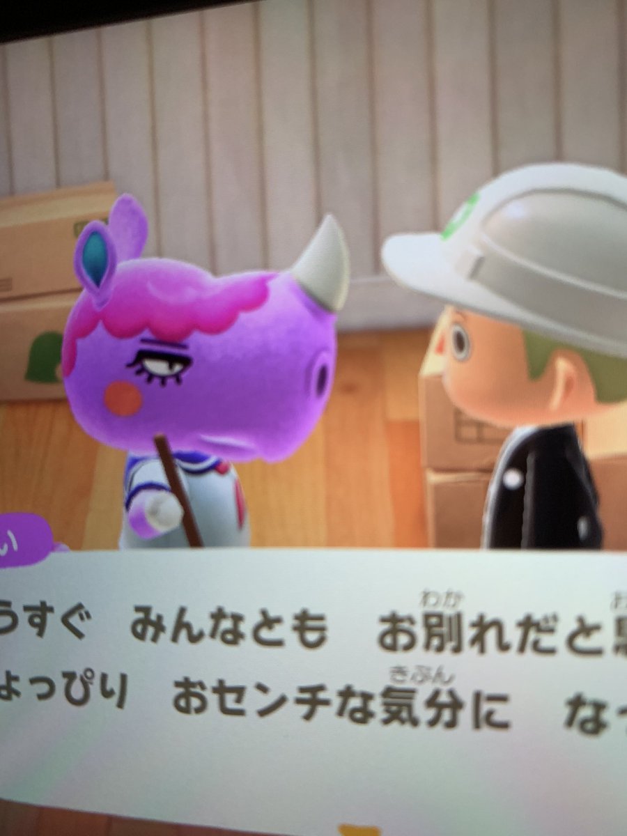 MiMikasu1414's tweet photo. 譲)おさい

求)条件提示

需要あるか分かりませんが、、
レートはだいぶ低めで大丈夫です。

#住民交換　#あつ森 https://t.co/dzp2DG2O1L
