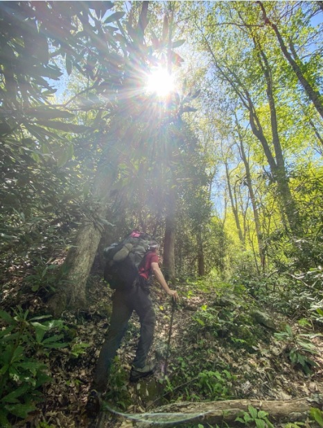 SouthHighlander's tweet photo. I need to bring a professional photographer every time we go backpacking. Thanks @sethcreative 
Good times on Mill Branch this weekend in #cherokeenationalforest #backpacking #forestbathing

https://t.co/fqtda8wDTg https://t.co/2RR7YOVL16