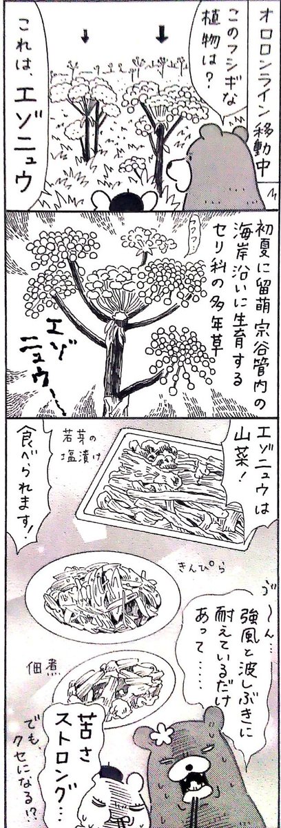 漫画 #道北レジェンド !過去作
「エゾニュウ 編」 