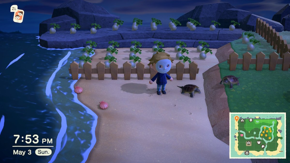 SwitchDropCP's tweet photo. #AnimalCrossing #ACNH #NintendoSwitch https://t.co/3uIjDfgIrt