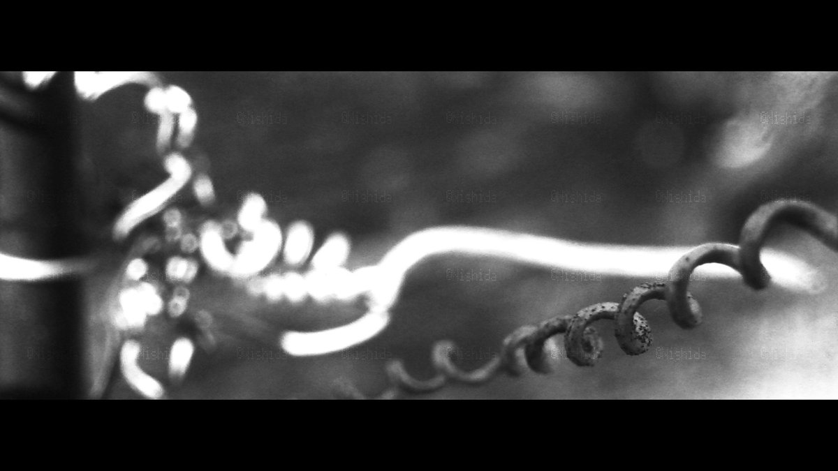 Nishidaflower's tweet photo. モノクロ
#photography 
#写真
#モノクロ https://t.co/9XtpA3nXH5