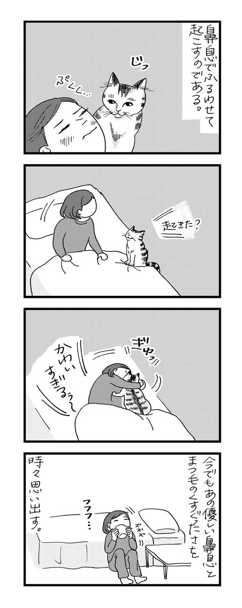 そして鼻息優しく起こしてくれるいじらしい猫なのであった…? 