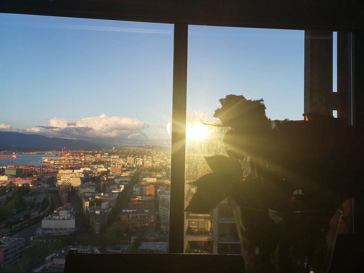 Abbieb_king's tweet photo. Just another 8pm sunset reflection #LOCKDOWN2020 #sunset #photography #vancouver https://t.co/0iUDpUqAgU