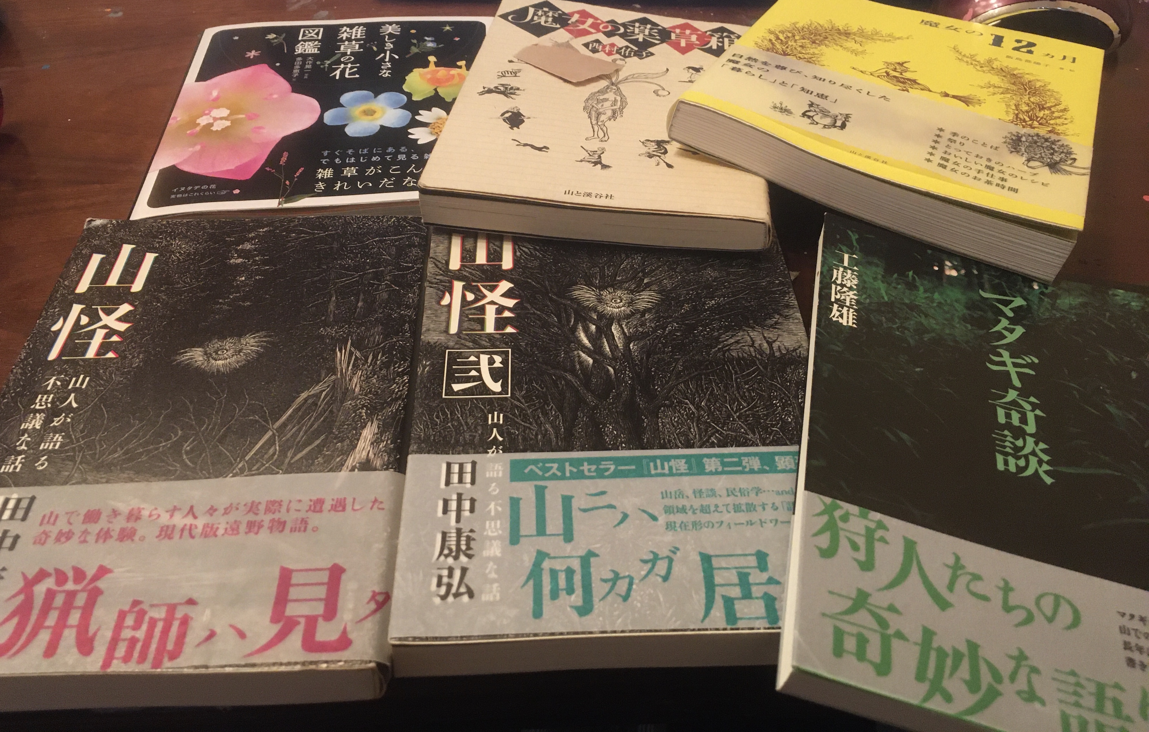 森乃おと 読書メモ 山の話が好き 机周りには 山と渓谷社 書籍多め コレヨリノチノ ヨニウマレテ ヨイオトキケ 東北 マタギの 熊への鎮魂の言葉 マタギ アイヌ ニブフなど北方民族 と関心が広がり なんと 漫画 ゴールデン カムイ が