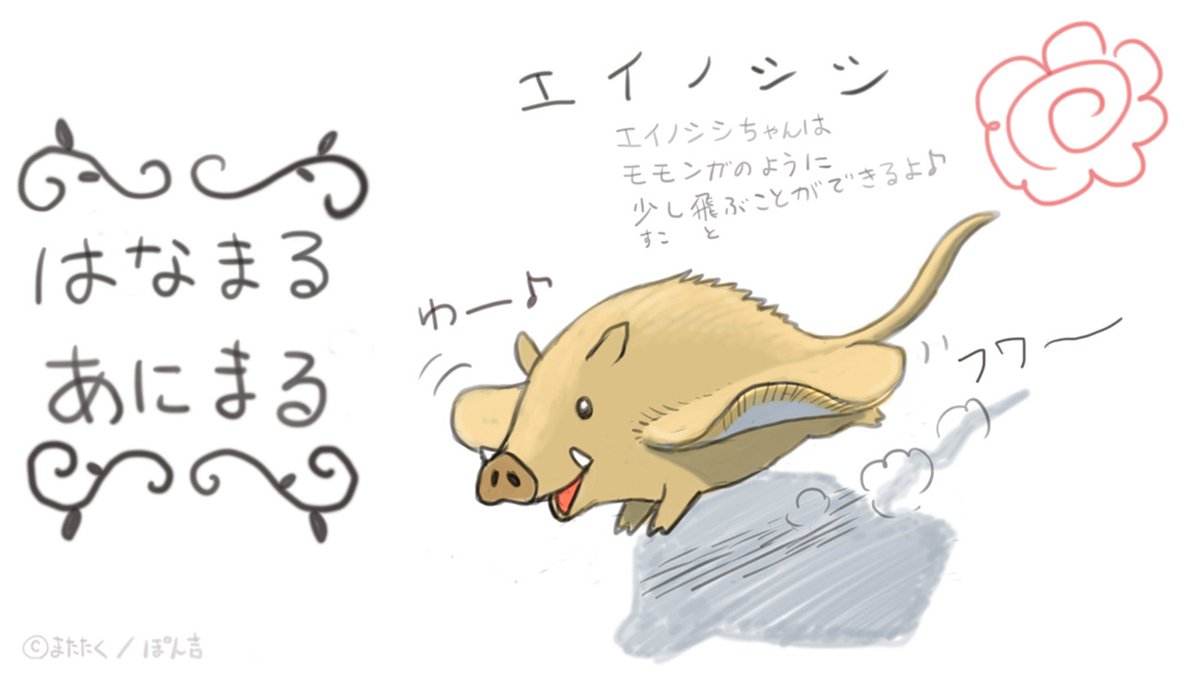 エイノシシ 