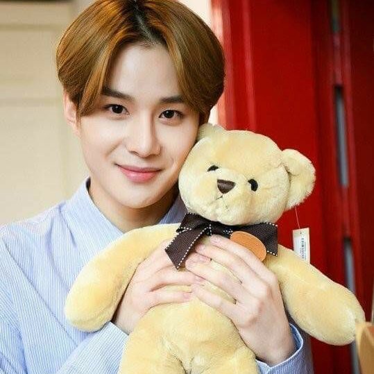 jungwoopups's tweet photo. 🐶🐻

#이거김정우 #정우 #JUNGWOO #NCT https://t.co/vwxPthFYcH