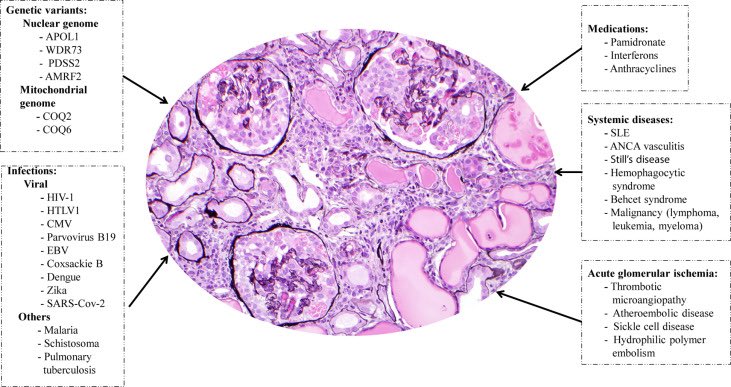 International Society Of Nephrology Isn Dispatches From The Covid19 Frontlines From The Young Isn Members Isnyoung Dr Chimota Phiri From Blantyre Malawi T Co Koydd8rmwe T Co 32on3y3a12