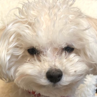 40Lm's tweet photo. #新しいプロフィール画像 https://t.co/qXqA3UrEtL