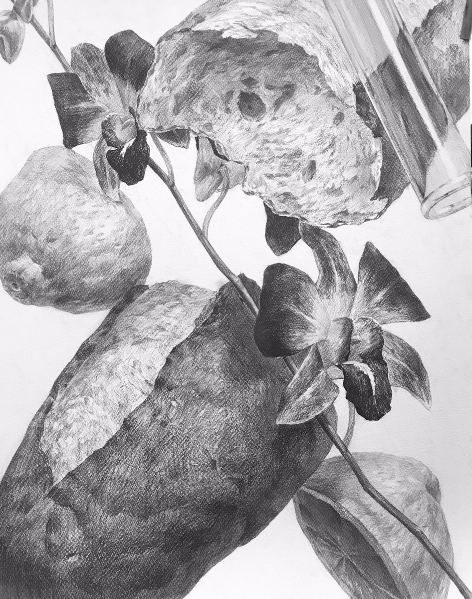 フランスパン レモン デンファレ 試験管 で構成デッサン