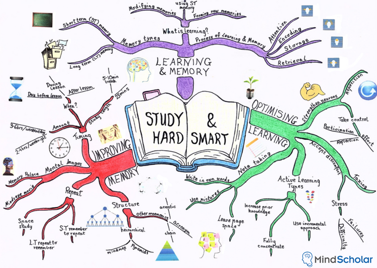 Many students stunt their learning due to a passive approach.  Our 'Study Smart' module helps create active learners! Check it mindscholar.com.au/pricing/ #activelearning