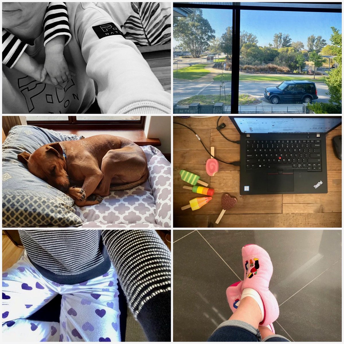 WalkerWaylandWA's tweet photo. As people around Australia (and the World) have come up with their own 'work from home' routines, here is a glimpse into how our team has settled into WFH life.
#WorkingFromHome #PJPantsAllDay #NewWorkShoes #FurryColleagues #NewComputerAccessories #WindowViews #ClingyChildren https://t.co/GsYHO2wEDm