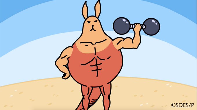 Poccolies Poccolies