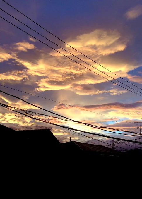 軽いMVみたいな物を作りたいと思ってて、、その背景に使う綺麗な「空」の写真をこのツイートのリプ欄に送って頂けたら嬉しいです!(できれば縦長が嬉しい…)
朝焼けとか夕焼けとか…色々お待ちしてます…!?‍♂️✨ 