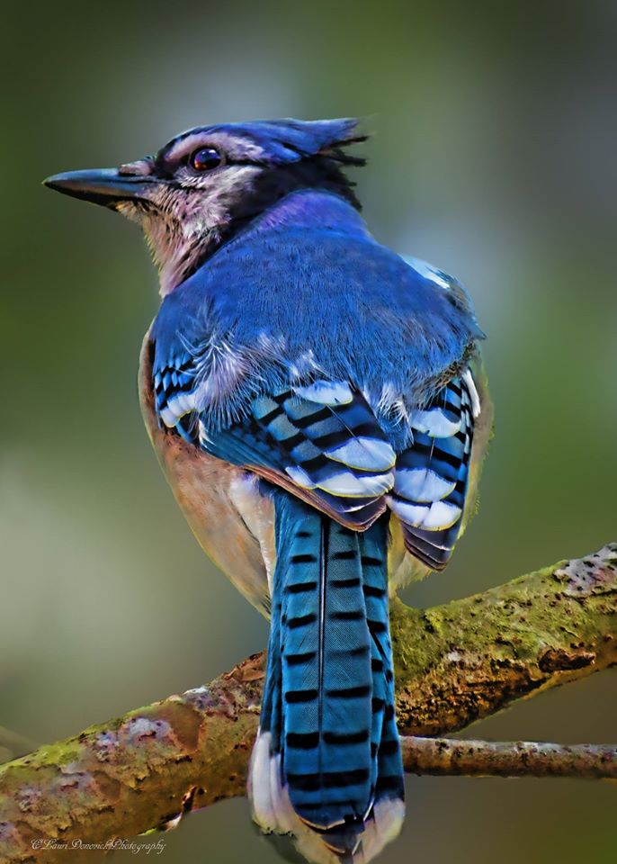 ColaJessice's tweet image. 