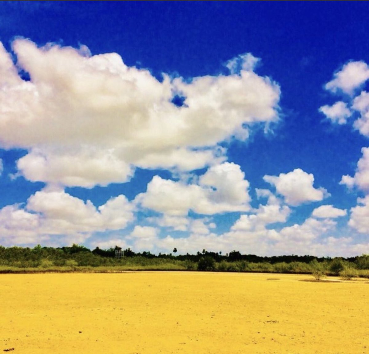 Ebrimasanneh (@ebrimas71927220) on Twitter photo 