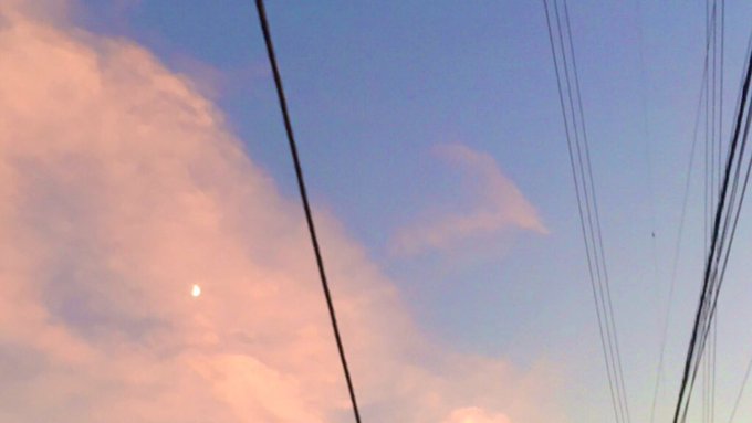 Mizuiryochin39さんのイラスト一覧