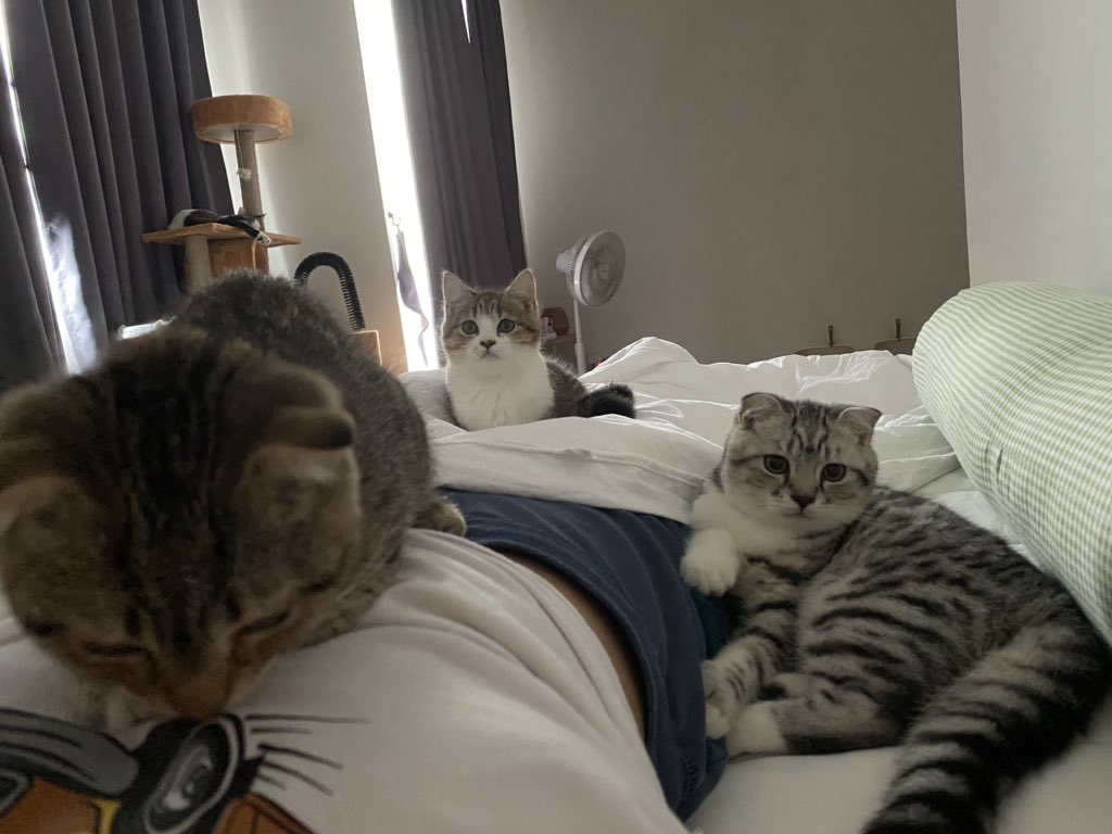 ไหนเมื่อวานใครบ่นตื่นมาไม่มีคนนอนด้วย วันนี้พวกเราจัดการให้เอง! 3ตัวพอมั้ยม่า