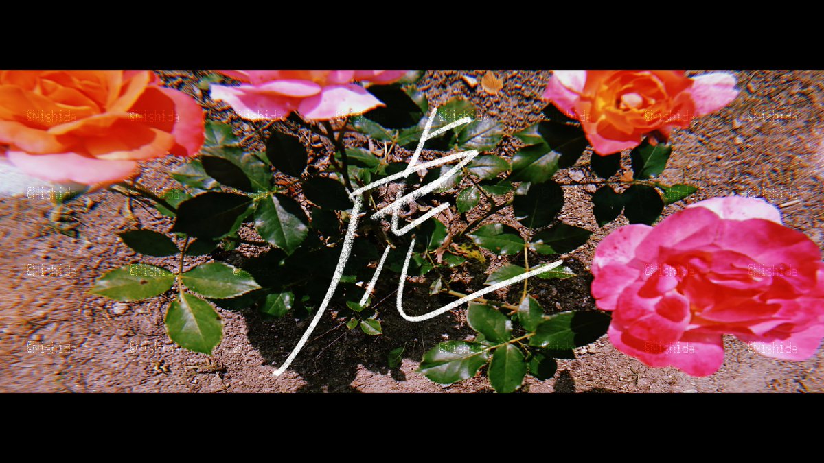 Nishidaflower's tweet photo. 虎
#写真
#photography
#photograph
#文字 https://t.co/yqwINcvWU0