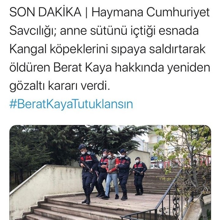 #BeratKayaTutuklansın
Covıd 19 aşı testlerini böyle kansızlarda denesinler işte bir işe yarasın pezevenk
