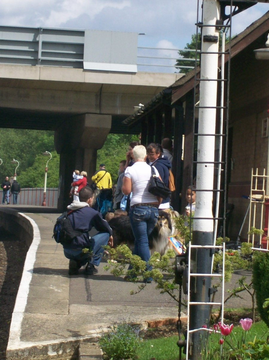 Robert Maskill tweet media