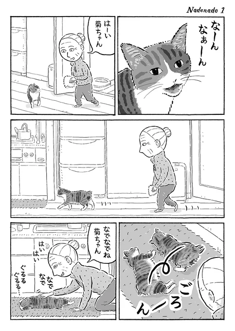 2ページ猫漫画「なでなでの場所」 #猫の菊ちゃん 