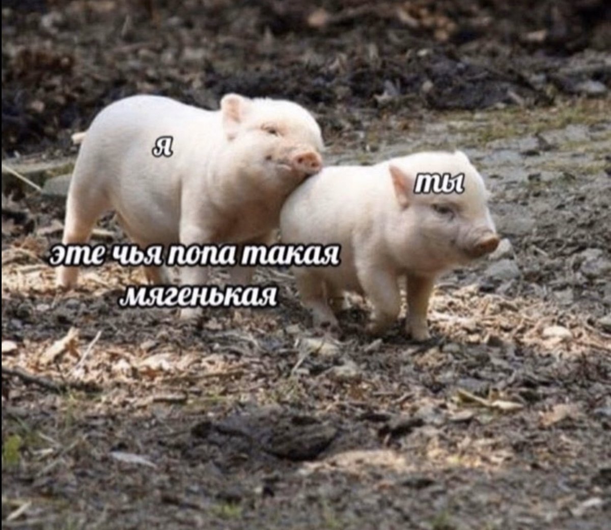 leprasorium's tweet image. Если у вас не такие отношения, то зачем вообще это всё?