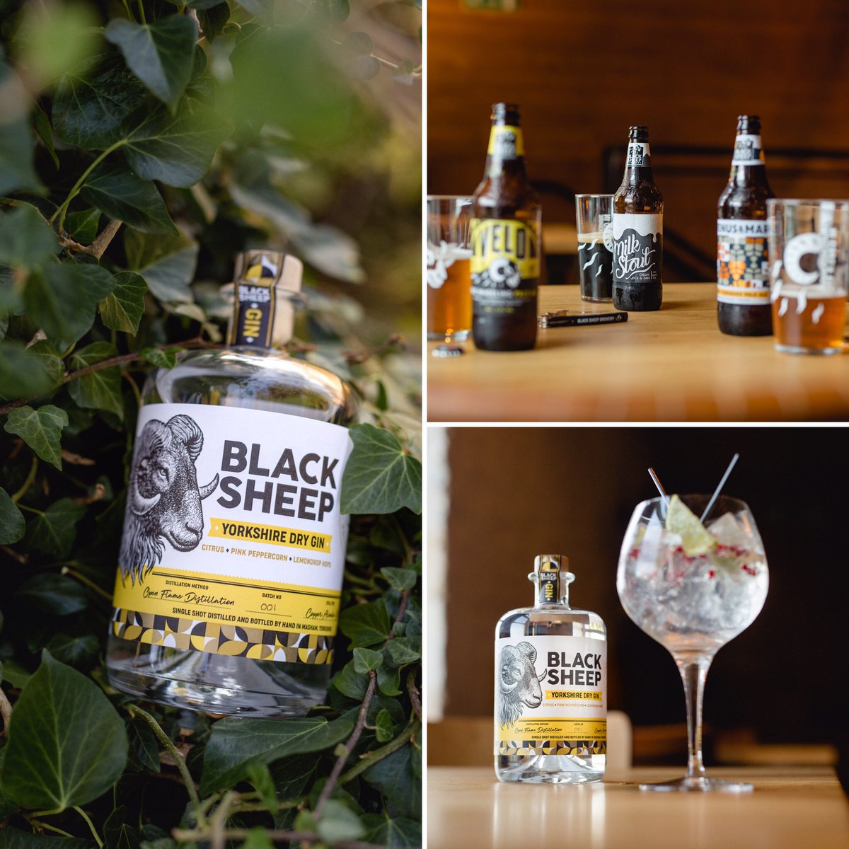 Mews of Mayfair tweet media