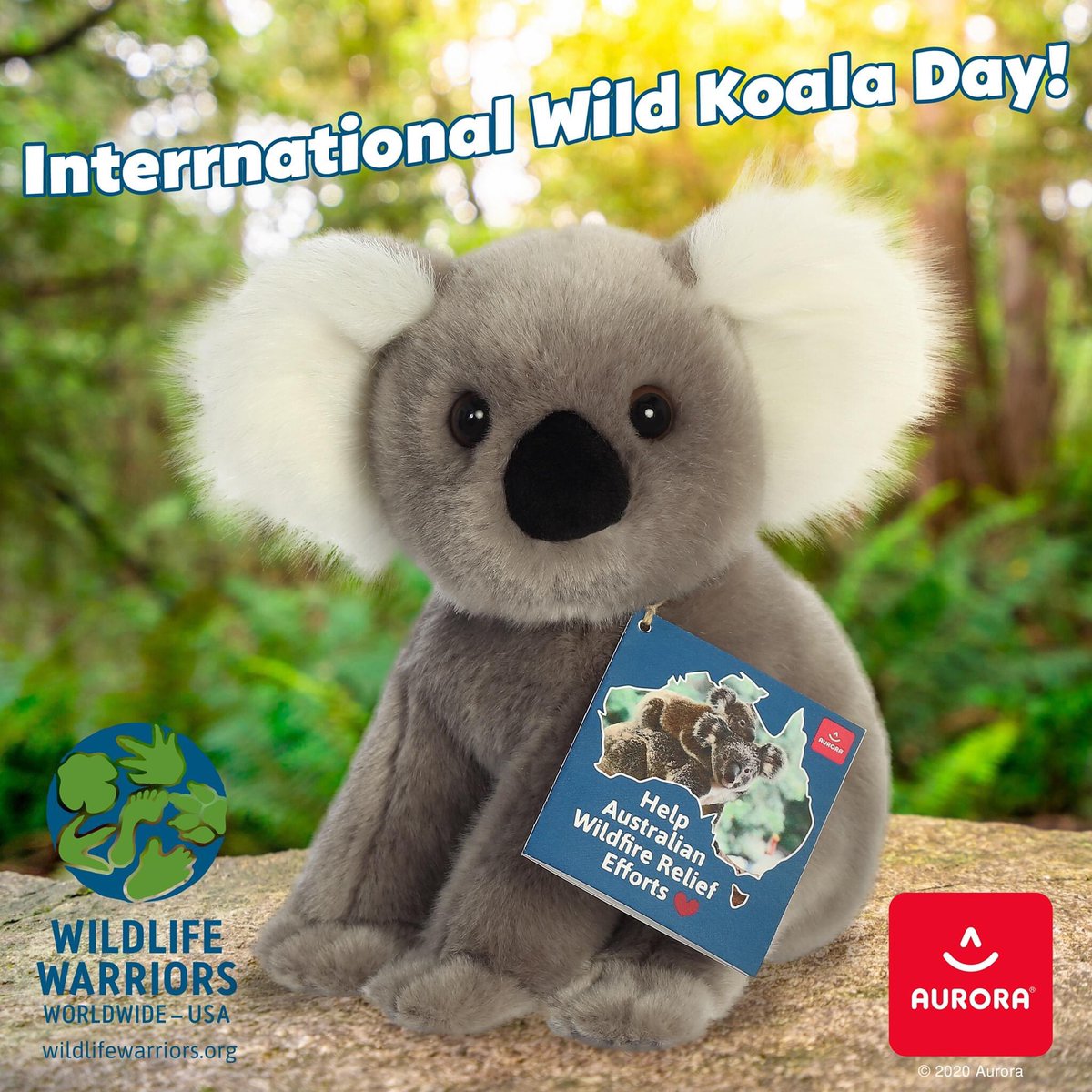 NearlyInc's tweet photo. International Wild Koala Day is dedicated to the Koalas and their endangered habitat, the eucalyptus tree. This is Lewis, a special edition, partnered with Wildlife Warriors to raise funds for the Australian Wildfire Relief Efforts. #plush #bestplushinCanada #aurora #nearlyfamous https://t.co/LXwLkNKGg9