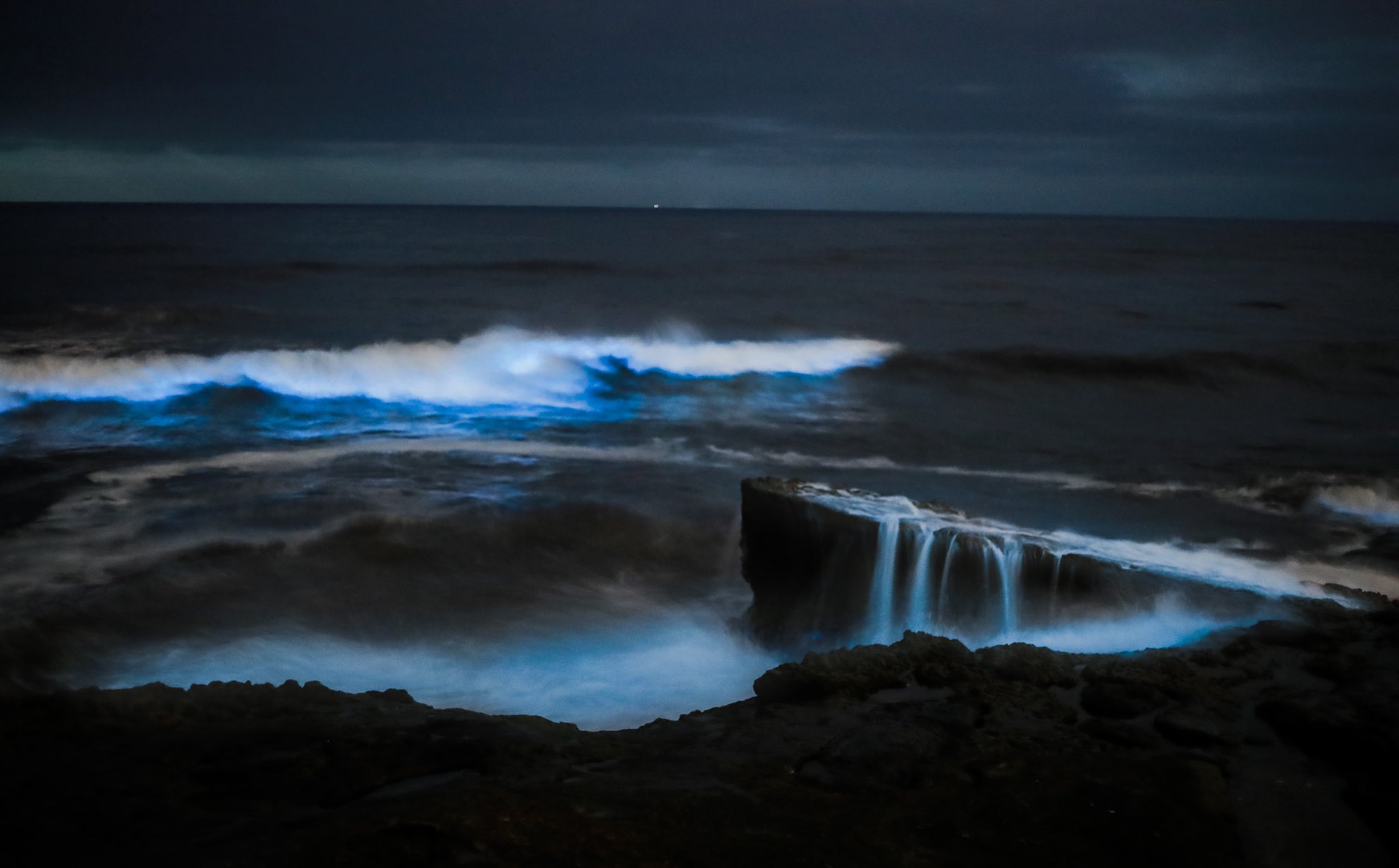 CHAT Bioluminescence brings glowing neon waves to surfers in Southern