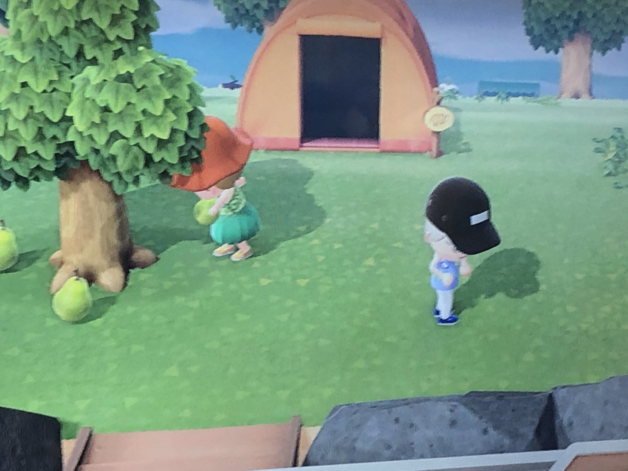 いい大人達 ゲーム実況者 マオーが遊びにきました ただいまオッサンがあつ森初見プレイ中 いい大人達 あつまれどうぶつの森 T Co Nvhk8aljvh