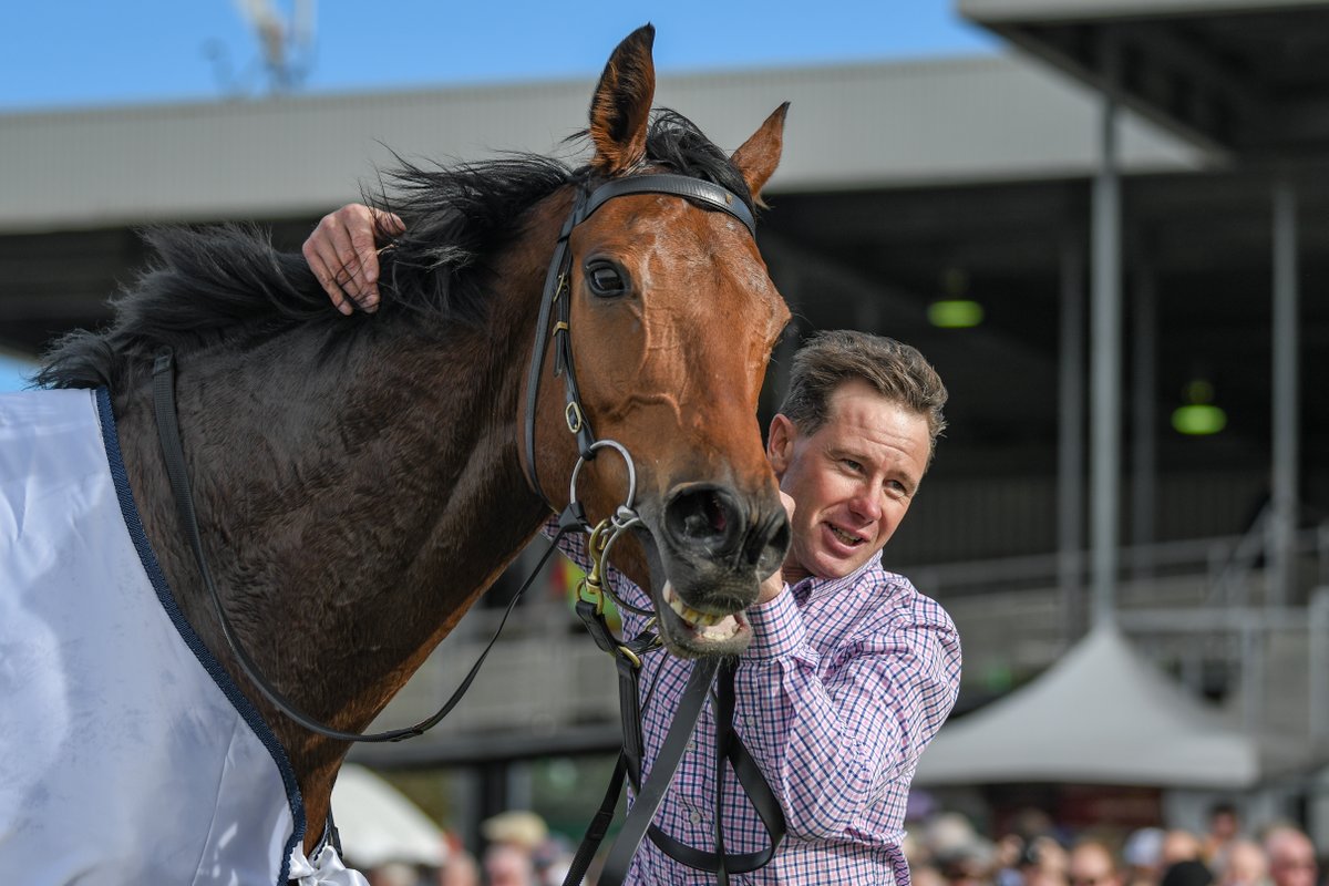 nzracingnews's tweet photo. Trainer Patrick Payne is embracing the nerves ahead of tomorrow's big day for jumps racing at Warnambool where he lines up a handful of New Zealand-bred jumpers including #ZedEm who will look to defend his Grand Annual Steeplechase (5500m) crown.
https://t.co/UtZTAeNVDN https://t.co/8swzJjK1WJ