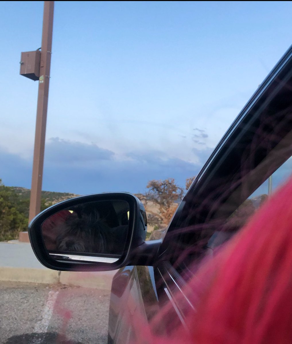 shmandeluca's tweet photo. Sarah, Pebbles, and I are currently driving ourselves across the country from LA to NY (avoiding all human contact as much as humanly possible). Just documenting this on my Twitter because it’s a very special time. Life is truly an adventure with @saraheiseman2 &amp; #pebbles 💙💙 https://t.co/0flmO3sxaE