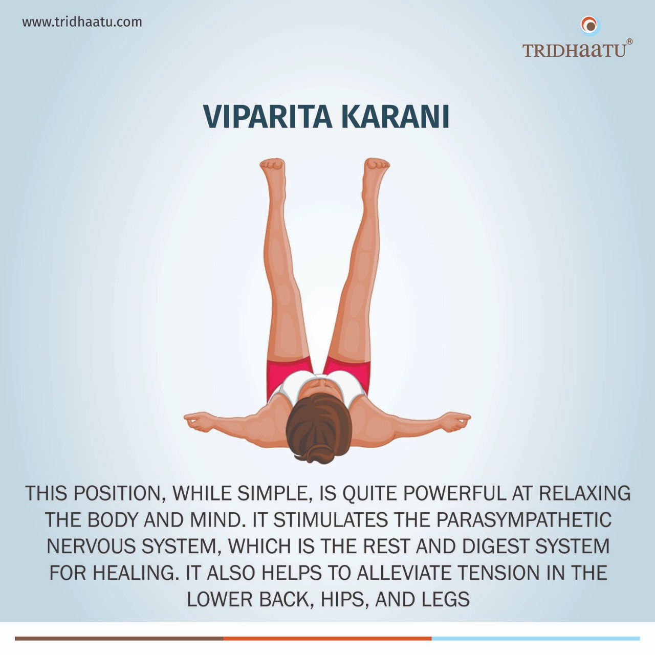 Legs Up The Wall Pose (Viparita Karani): How To Practice, Benefits And  Precautions | TheHealthSite.com
