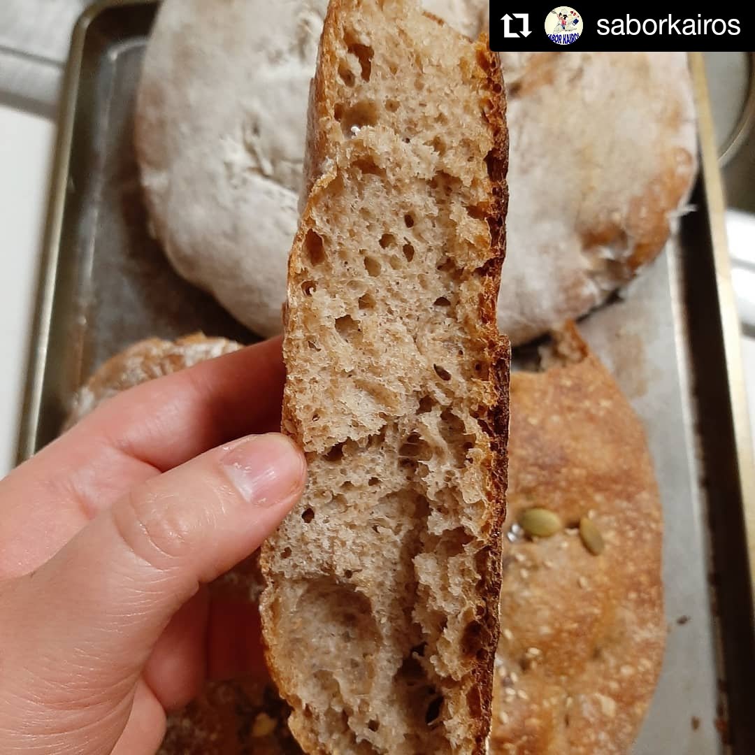 saborkairos's tweet image. La primera vez que hice masa madre no me resultó. Así que un amigo me compartió de su starter y pude hacer mis primeros pancitos de masa madre: 60% harina panadera, 20% harina integral, 20% dark rye. 
Felicidad ❤
#saborkairos #bread #breadtime #sourdough 
instagram.com/p/B_wDst_n50q/…