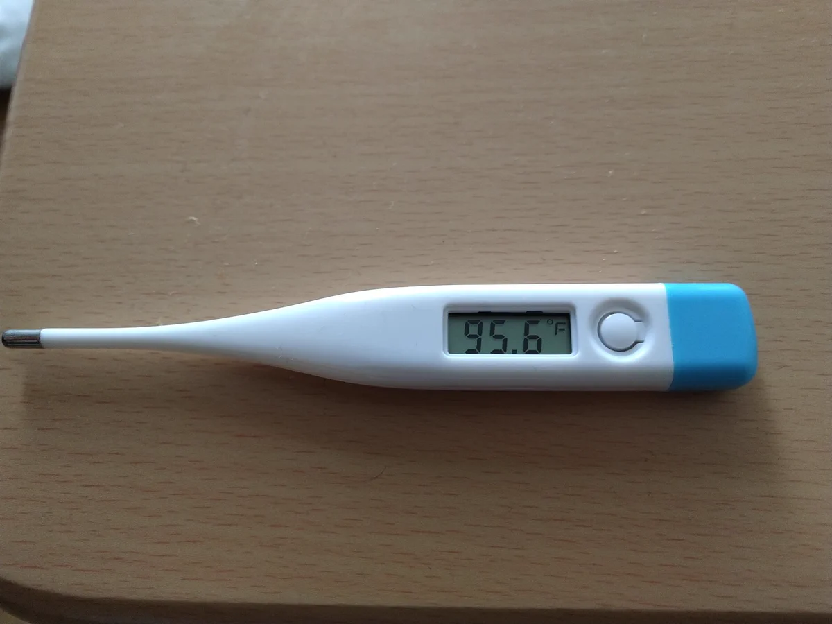 Amazonで注文した体温計を使い体温を測ったら・・・95.6°だったらしい！！ビックリｗｗｗ