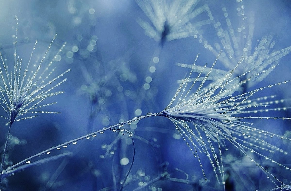 Good Night lovely lifters of spirits in this beautiful Twitterverse
          💫💤🌸✨💤🌷🦋😴🦋🌷💤✨🌸💤💫