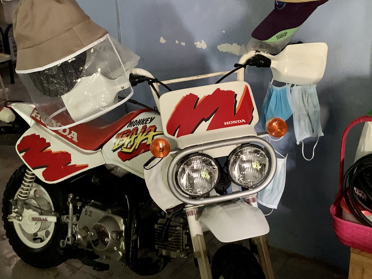 Dio Baja/Monkey Baja Club tweet media