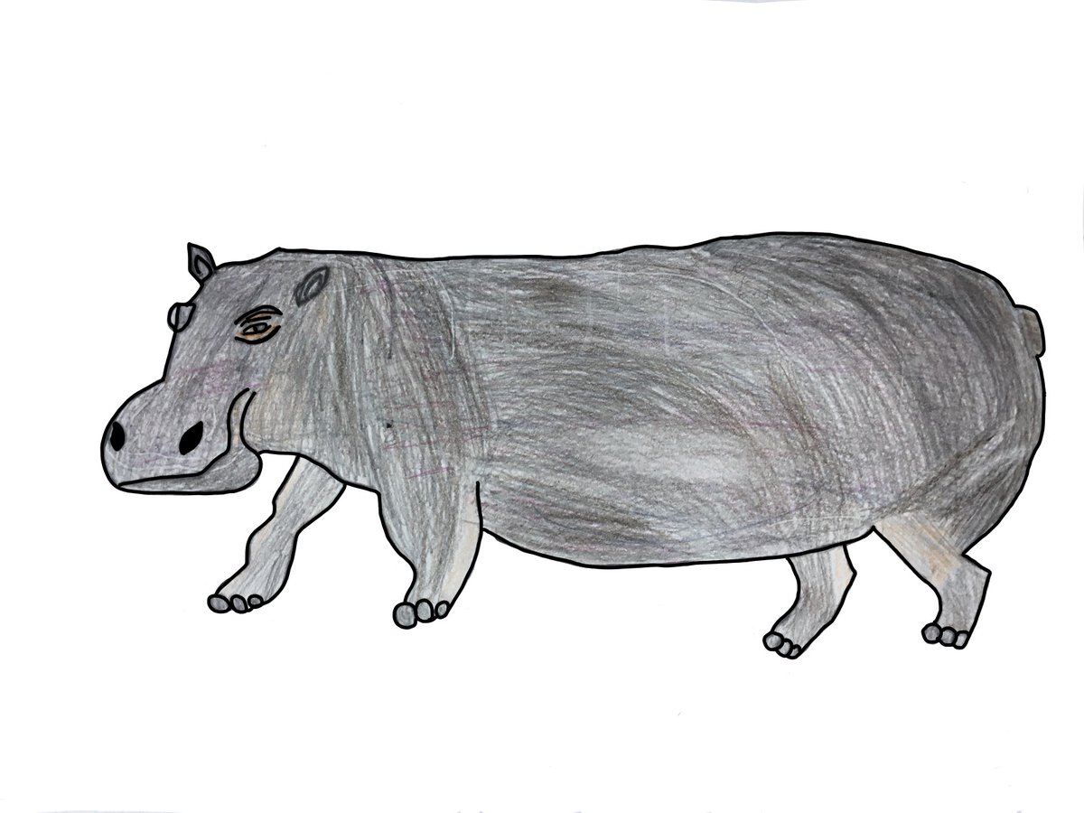 今井正司 Ar Twitter 旭山動物園インスタライブの第１回目はカバでした 兄弟 小４ 小２ でカバの絵を完成させました 旭山動物園 インスタライブ カバ