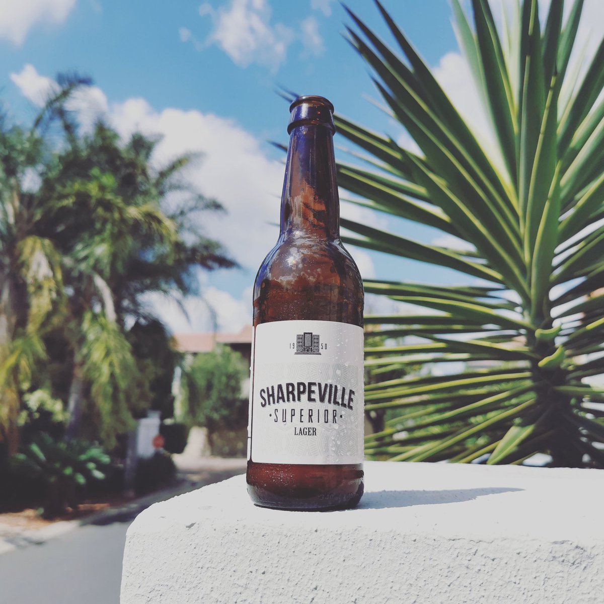 SHARPEVILLEBREW's tweet photo. #VaalTwitter

We hope we are not late

The flag / The face

🇮🇹 https://t.co/vWfEDusm0A