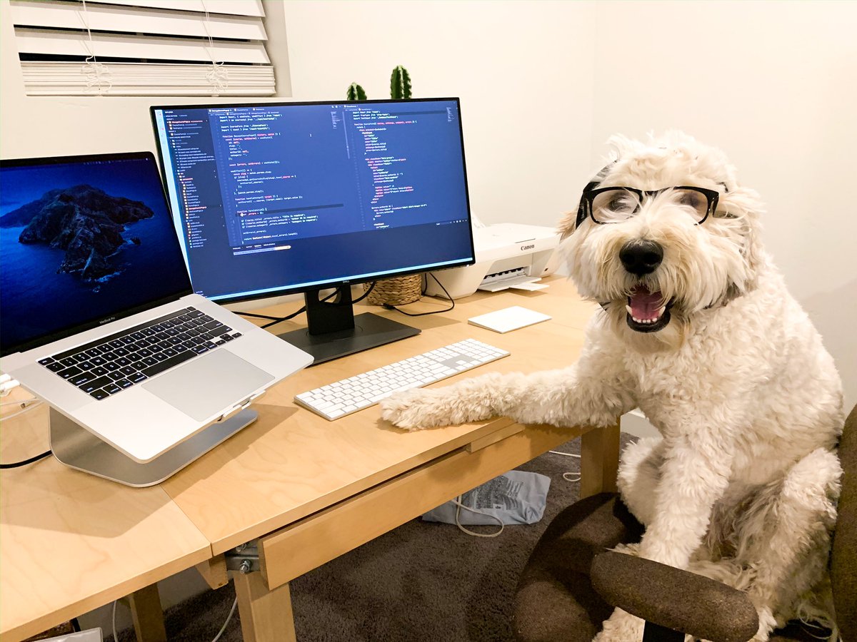 wilson_parson's tweet photo. Lola’s a big fan of the Fetch API 🦴 
 #javascript #react #dogsintech #dogswhocode
@felixgrays https://t.co/KRkJYiuHXf