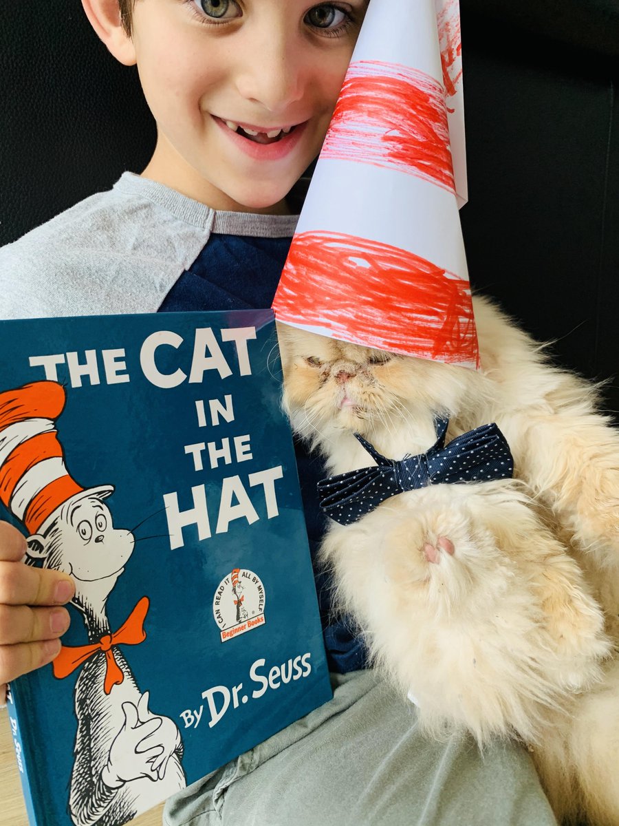 cat in the hat real life
