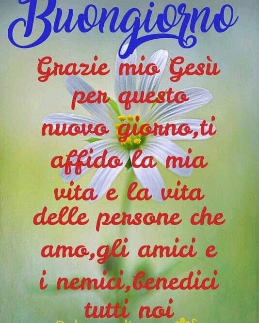 Fabio Patrone Buongiorno Nell Amore Di Gesu E Maria Grazie Gesu Ti Amo E Ti Ringrazio Per Questo Nuovo Giorno